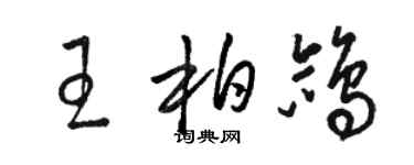 骆恒光王柏鸽草书个性签名怎么写