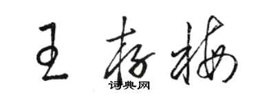 骆恒光王存梅草书个性签名怎么写