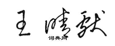 骆恒光王晴献草书个性签名怎么写