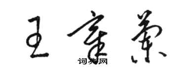 骆恒光王章兰草书个性签名怎么写