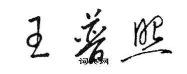 骆恒光王普照草书个性签名怎么写