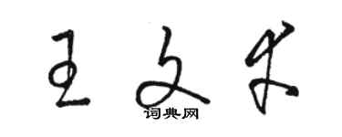 骆恒光王文幸草书个性签名怎么写