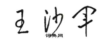 骆恒光王沙军草书个性签名怎么写