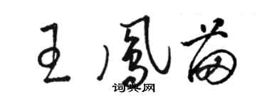 骆恒光王凤苗草书个性签名怎么写