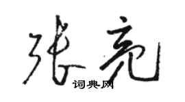 骆恒光张亮草书个性签名怎么写