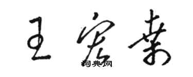 骆恒光王宏桑草书个性签名怎么写