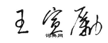骆恒光王宣励草书个性签名怎么写