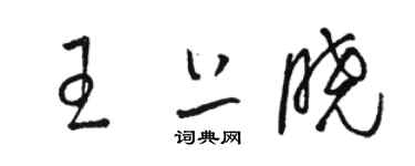 骆恒光王上晓草书个性签名怎么写