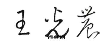 骆恒光王光农草书个性签名怎么写