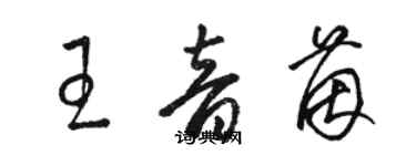 骆恒光王音茵草书个性签名怎么写