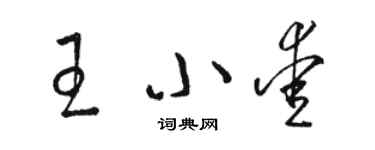 骆恒光王小爱草书个性签名怎么写