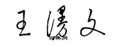骆恒光王漫文草书个性签名怎么写