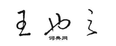 骆恒光王也之草书个性签名怎么写