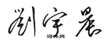 骆恒光刘宇晨草书个性签名怎么写