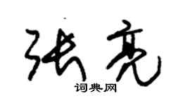 朱锡荣张亮草书个性签名怎么写