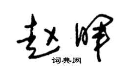 朱锡荣赵晖草书个性签名怎么写