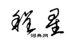 朱锡荣程星草书个性签名怎么写