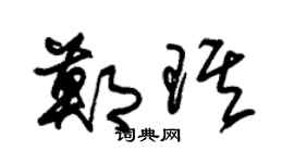 朱锡荣郑琪草书个性签名怎么写