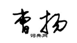 朱锡荣曹扬草书个性签名怎么写