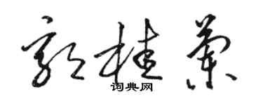 骆恒光郭桂兰草书个性签名怎么写