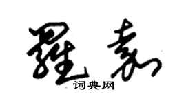 朱锡荣罗嘉草书个性签名怎么写