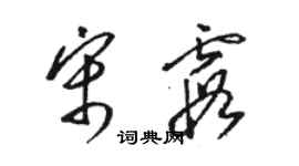 骆恒光宋霞草书个性签名怎么写