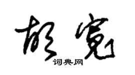 朱锡荣胡宽草书个性签名怎么写