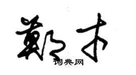 朱锡荣郑才草书个性签名怎么写
