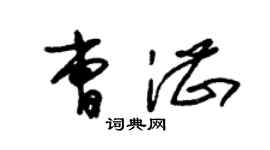 朱锡荣曹湛草书个性签名怎么写