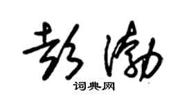 朱锡荣彭渤草书个性签名怎么写
