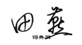 骆恒光田燕草书个性签名怎么写