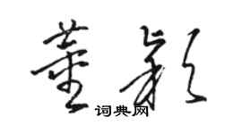 骆恒光董颖草书个性签名怎么写