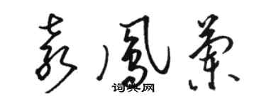 骆恒光袁凤兰草书个性签名怎么写