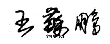 朱锡荣王苏鹏草书个性签名怎么写