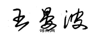 朱锡荣王晏波草书个性签名怎么写