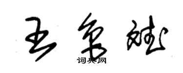 朱锡荣王鲁斌草书个性签名怎么写