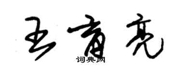 朱锡荣王育亮草书个性签名怎么写