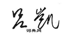 骆恒光吕凯草书个性签名怎么写