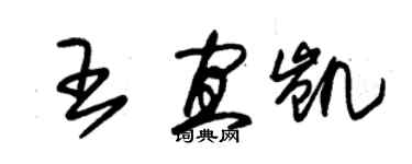 朱锡荣王宜凯草书个性签名怎么写