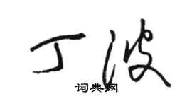 骆恒光丁波草书个性签名怎么写
