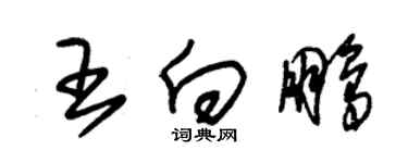 朱锡荣王向鹏草书个性签名怎么写