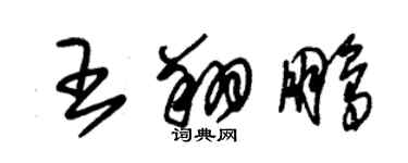 朱锡荣王翔鹏草书个性签名怎么写