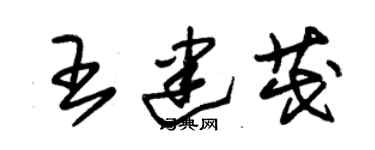 朱锡荣王建茂草书个性签名怎么写