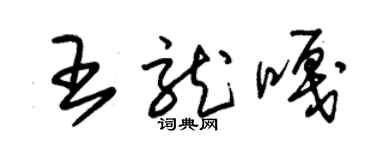 朱锡荣王龙嘎草书个性签名怎么写
