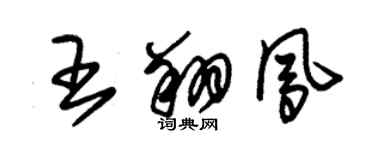 朱锡荣王翔凤草书个性签名怎么写