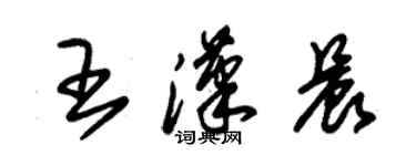 朱锡荣王汉晨草书个性签名怎么写