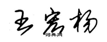 朱锡荣王宏杨草书个性签名怎么写