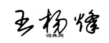 朱锡荣王杨烽草书个性签名怎么写