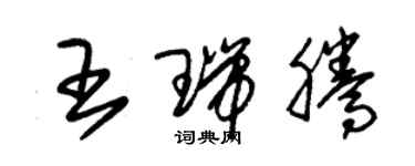 朱锡荣王瑞腾草书个性签名怎么写