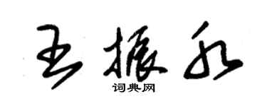 朱锡荣王振水草书个性签名怎么写